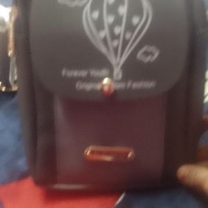 Flaunt it purse